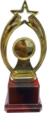 Premium 10.5 Star Trophy